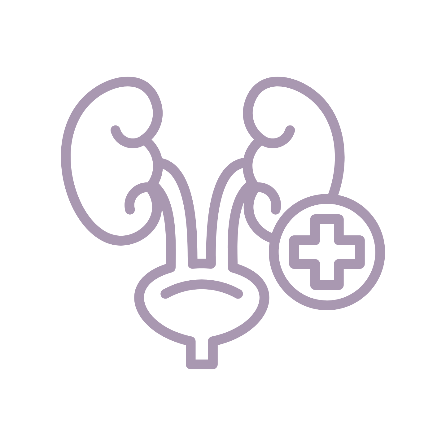 Urology icon